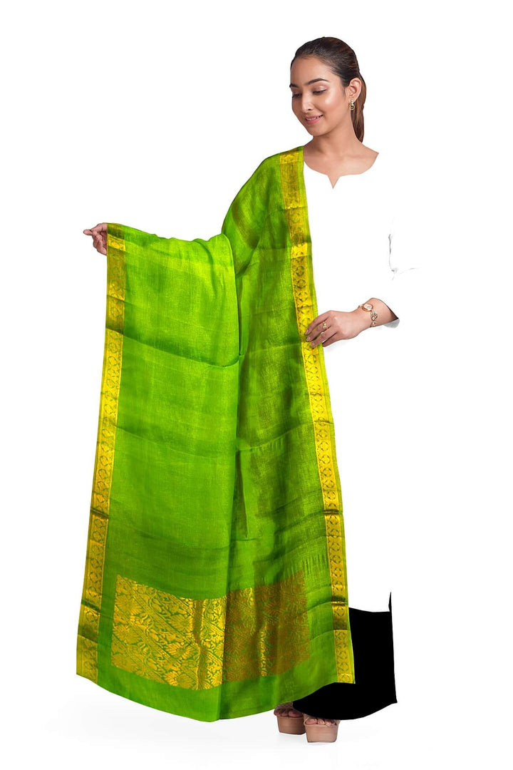 Kanchi pure silk dhavani / voni / chunni in green