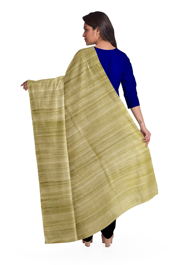 Handloom tussar pure silk dupatta
