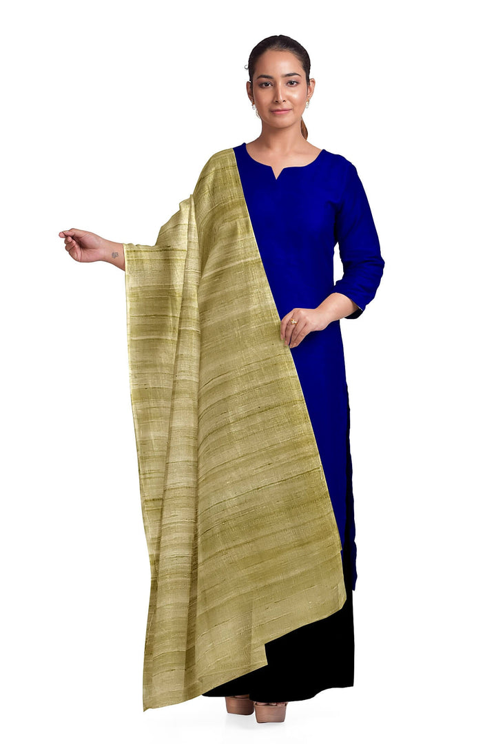 Handloom tussar pure silk dupatta