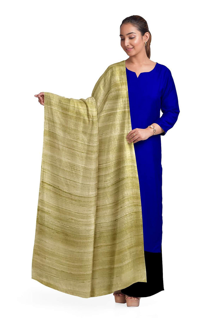 Handloom tussar pure silk dupatta