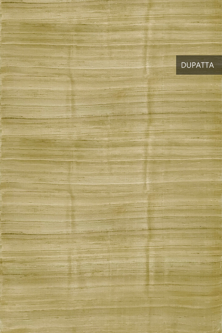 Handloom tussar pure silk dupatta