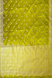 Banarasi mashru silk saree in  radium green  with floral motifs