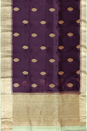 Banarasi kora (organza) silk saree  in brown with leaf  motifs
