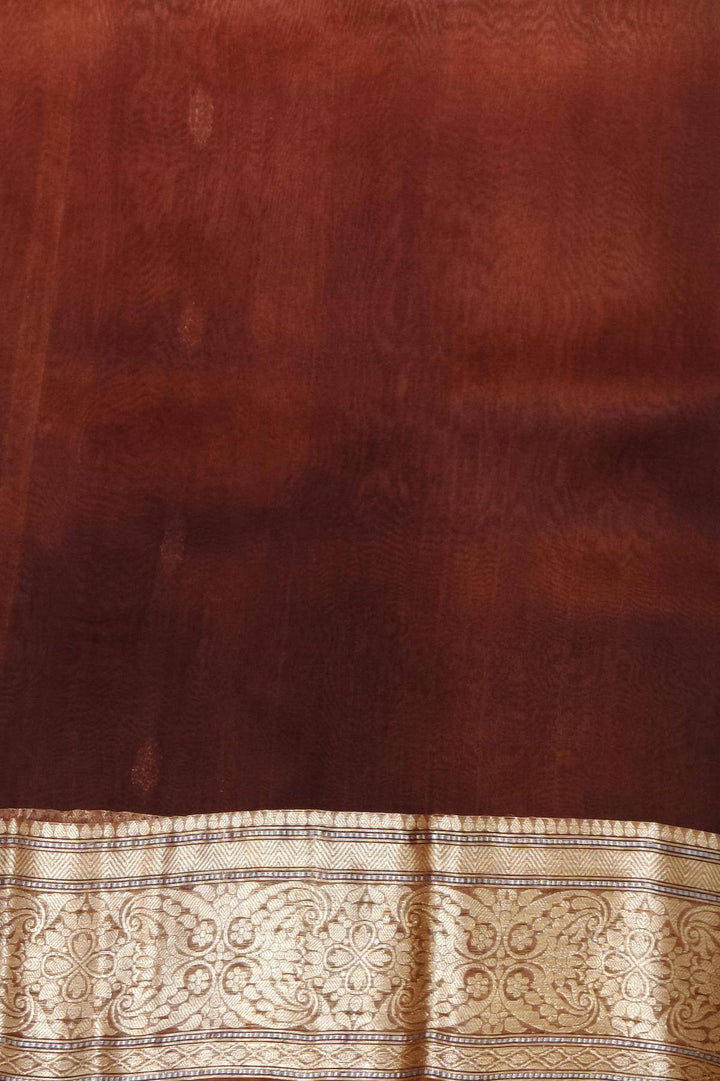 Banarasi kora (organza)  silk saree in  brown & beige with motifs