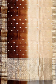 Banarasi kora (organza)  silk saree in  brown & beige with motifs