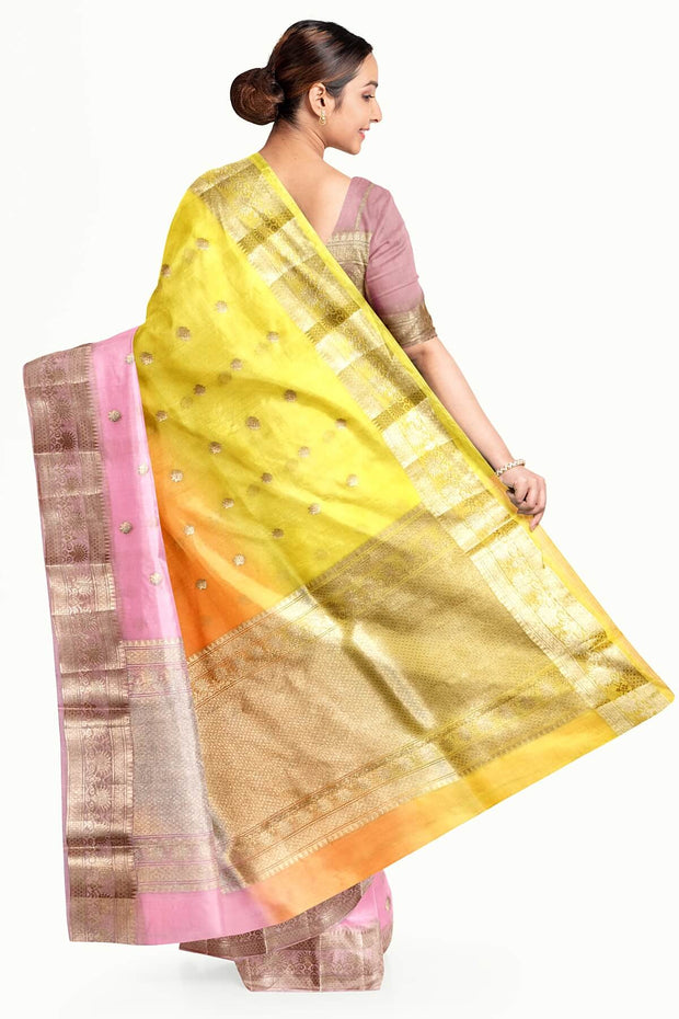 Banarasi kora (organza)  silk saree in  tri colour