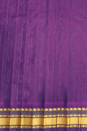 Handwoven Gadwal pure silk saree in fine checks in sky blue  & white  with gold & silver motifs all over the body.