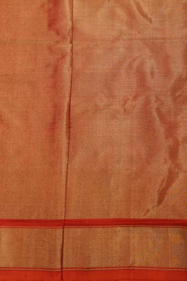 Ikkat silk tissue saree in multicolour with animal motifs