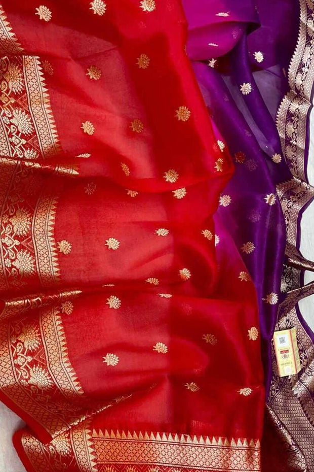Banarasi kora (organza)  silk saree in  red & pink with motifs