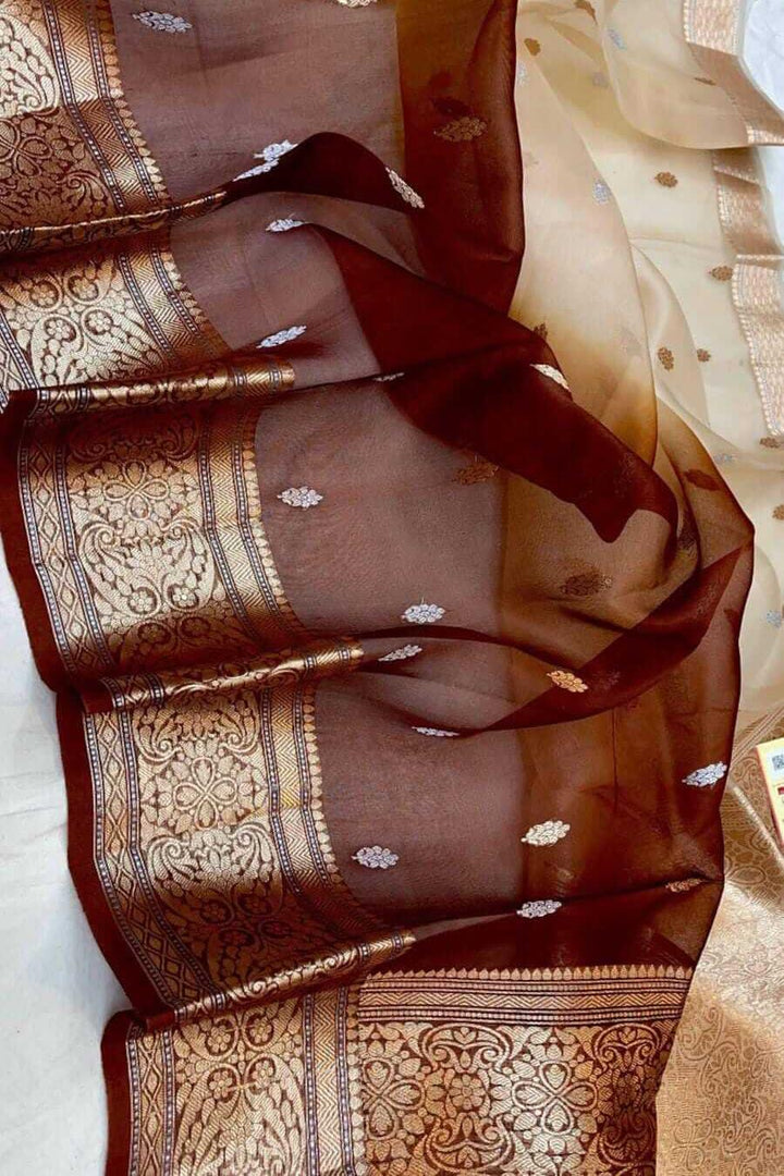 Banarasi kora (organza)  silk saree in  brown & beige with motifs