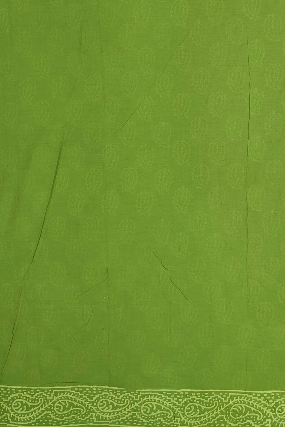 Jaipur mul cotton saree in green  with paisley motifs.