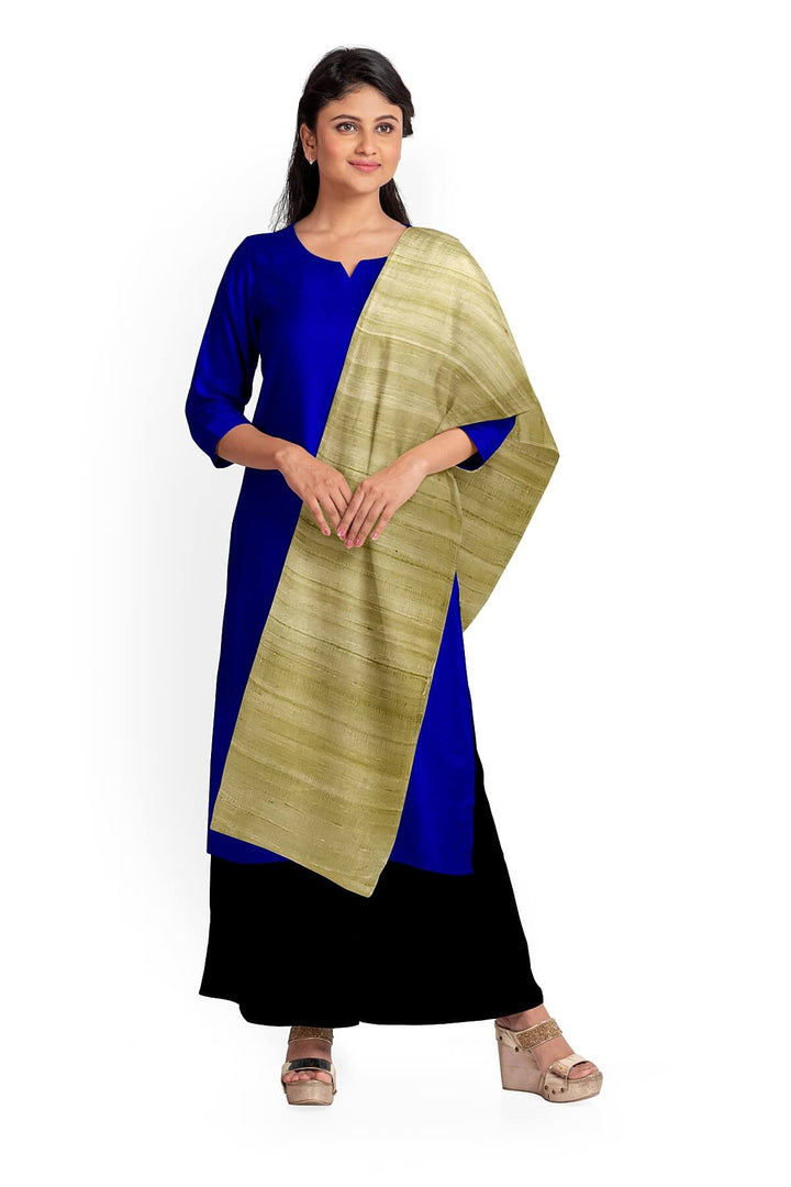 Handloom tussar pure silk dupatta