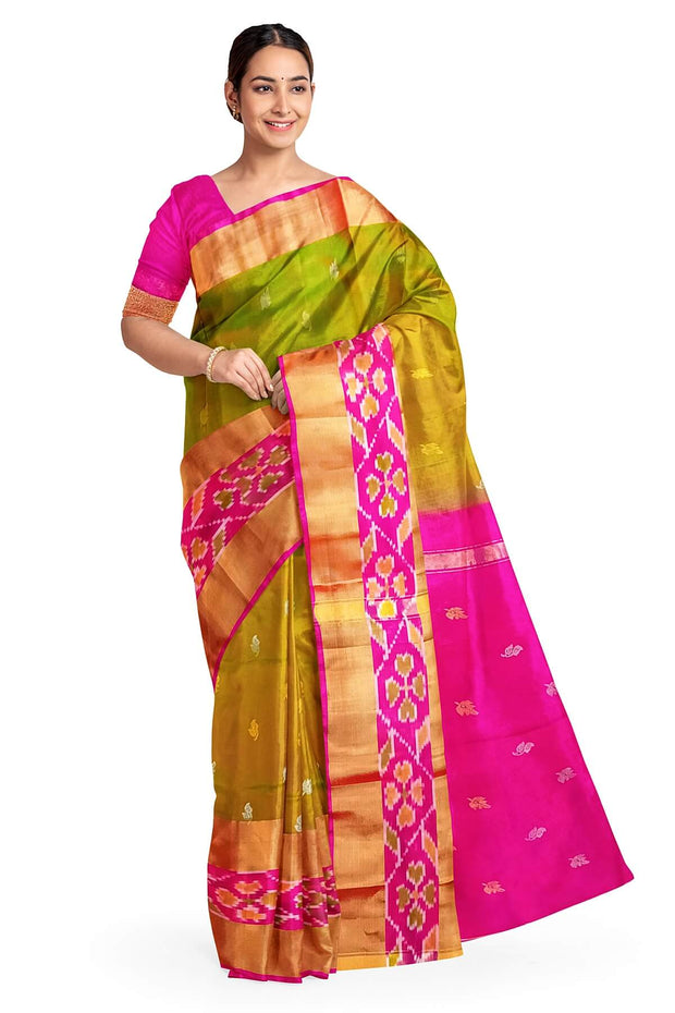 Handwoven Uppada pure silk saree in honey colour  with  ikat border