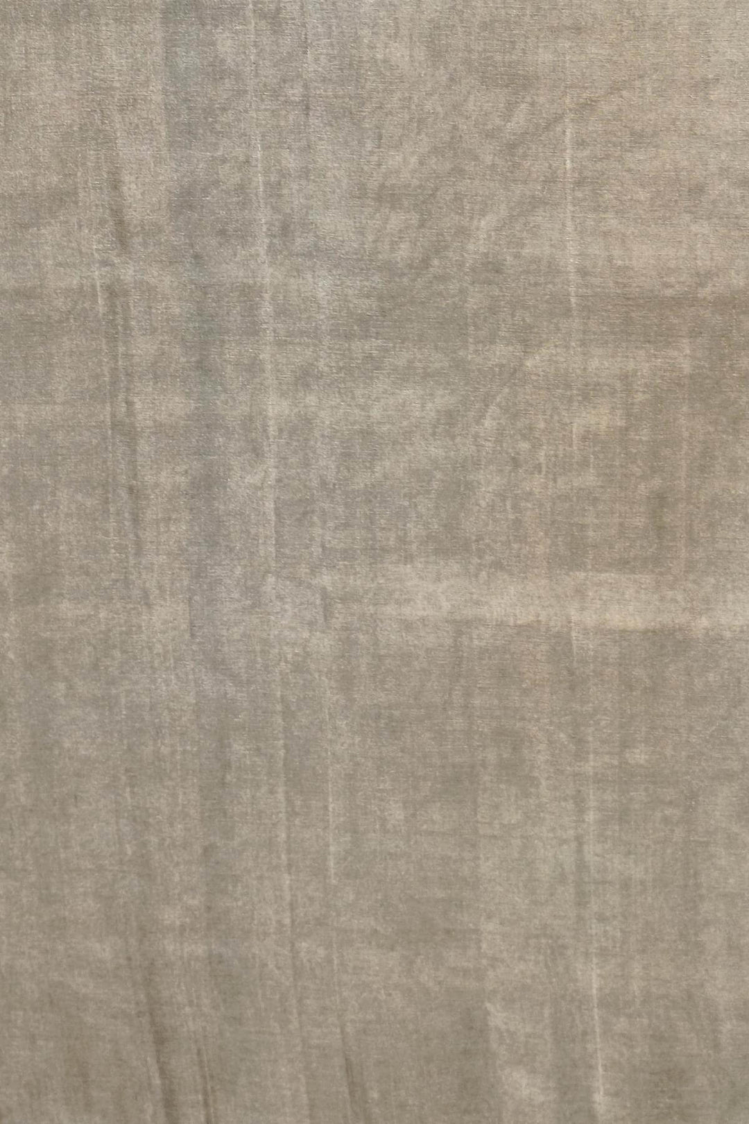 Handloom Uppada silk tissue saree in silver