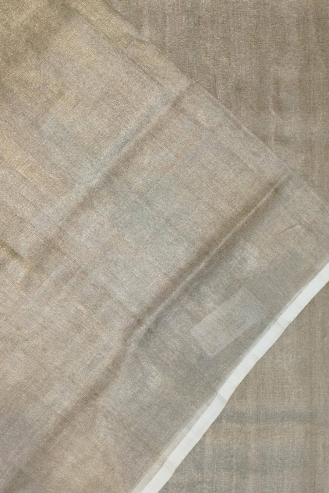 Handloom Uppada silk tissue saree in silver