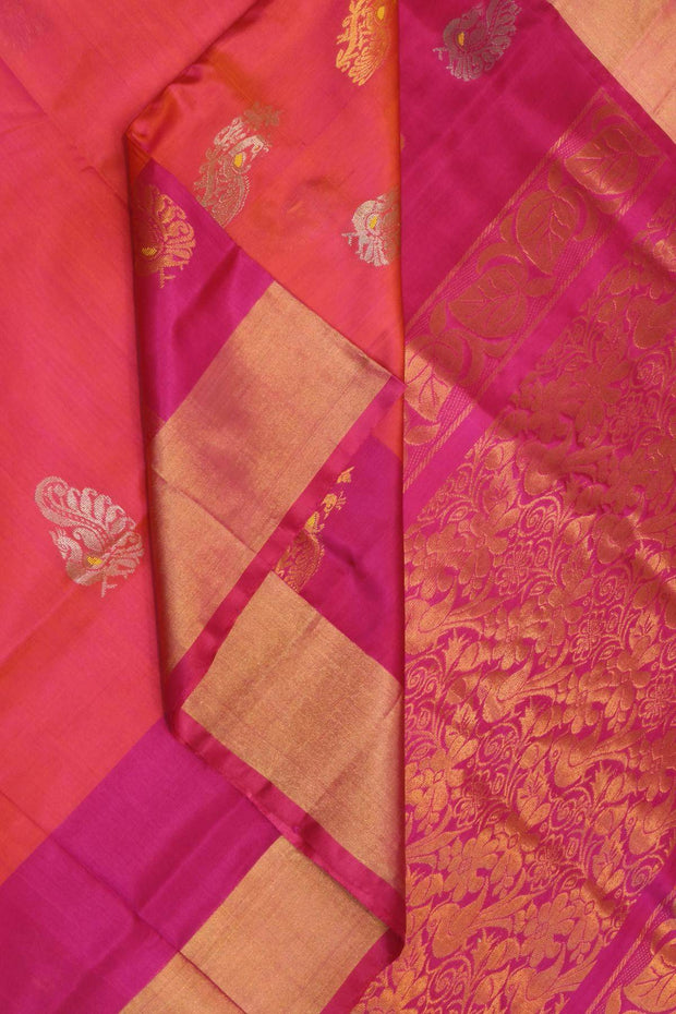 Handloom Uppada pure silk saree in orangish pink & pink  with  peacock motifs