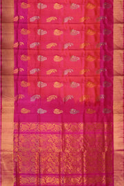 Handloom Uppada pure silk saree in orangish pink & pink  with  peacock motifs