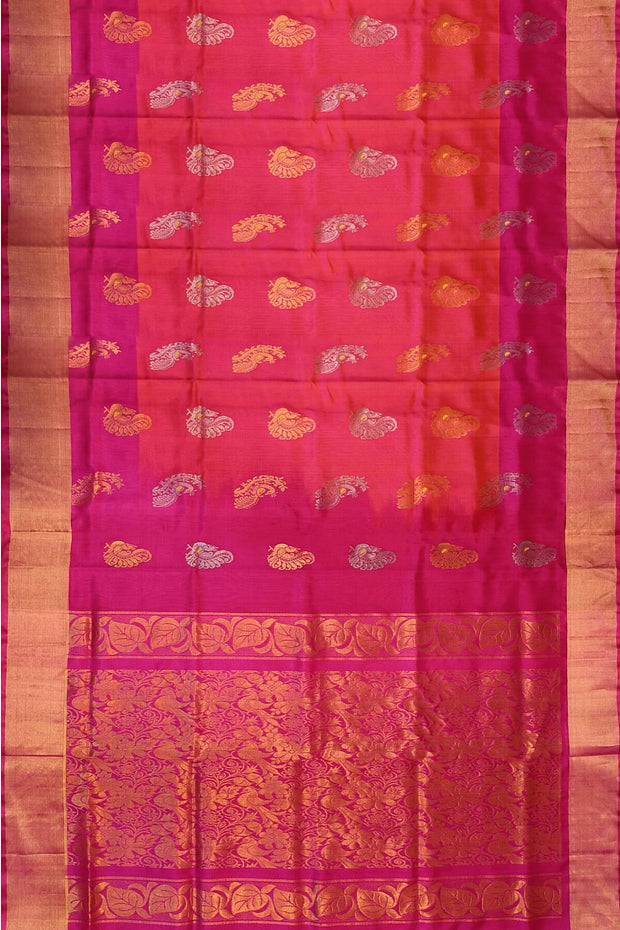 Handloom Uppada pure silk saree in orangish pink & pink  with  peacock motifs