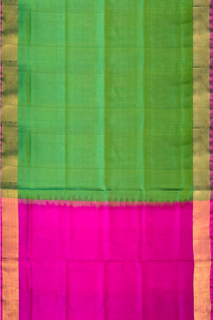 Handwoven Uppada pure silk saree in green