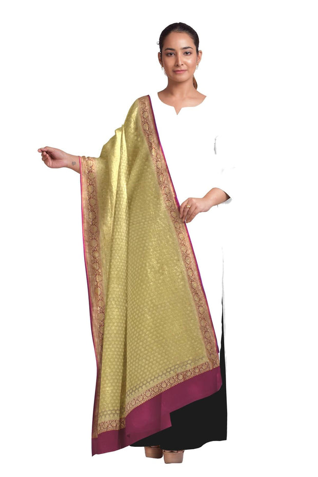 Handloom Banarasi silk georgette dupatta in  beige