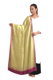 Handloom Banarasi silk georgette dupatta in  beige