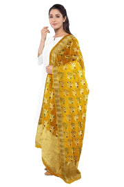 Handloom Banarasi semi silk dupatta - Anivartee