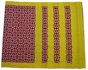Handloom double Ikkat pure cotton saree - Anivartee