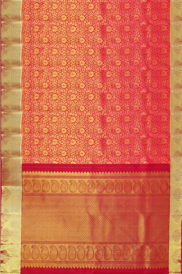 Kanchi silk brocade saree  in  red  & gold