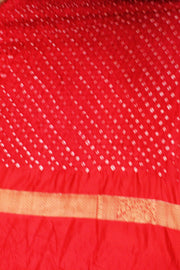Bandhini pure silk saree in green with Kanchi patterned  border