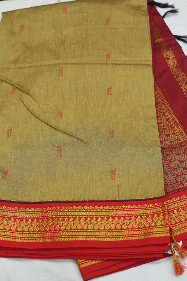 Handloom Kanchi silk cotton saree in beige