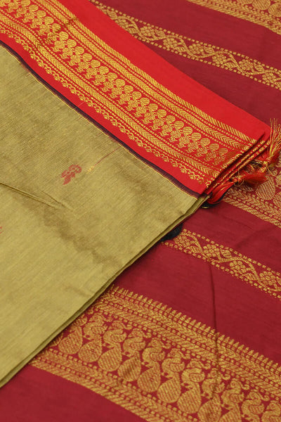 Handloom Kanchi silk cotton saree in beige