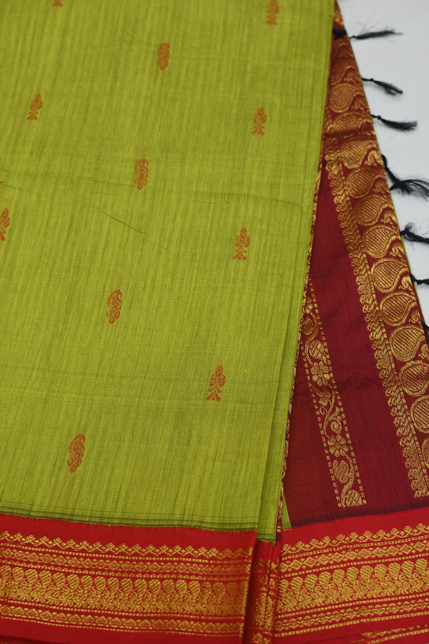Handloom Kanchi silk cotton saree in parrot green