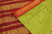 Handloom Kanchi silk cotton saree in parrot green