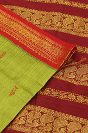 Handloom Kanchi silk cotton saree in parrot green