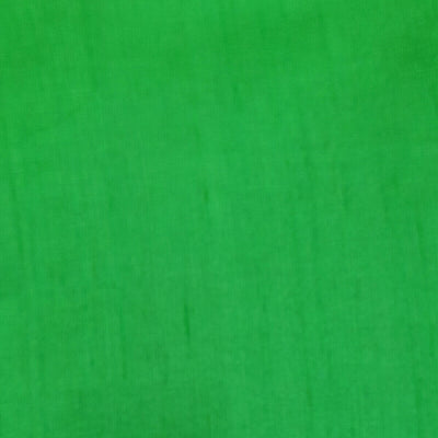Pure silk fabric (in dupion finish)  in green